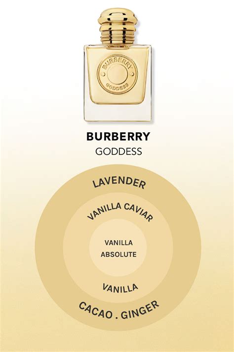 what does burberry for men smell like|Burberry her vs goddess.